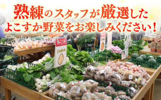 【全6回定期便】よこすか野菜セット すかなボックス 野菜 お野菜 季節野菜 やさい 詰め合わせ 詰合せ セット お楽しみ 産地直送 旬 厳選 すかなごっそ 農産物 神奈川県 横須賀市 定期 定期便【J