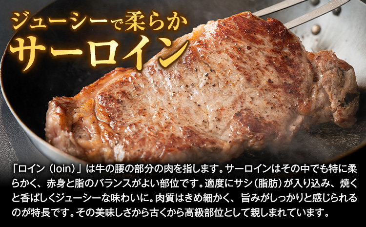 熊本県 国産牛 サーロインステーキ 300g 《30日以内に出荷予定(土日祝除く)》くまもと 熊本県 牛肉 冷凍 個別 取分け 小分け チャック付き バラ凍結 肉 お肉 ステーキ ステーキ用 ---3