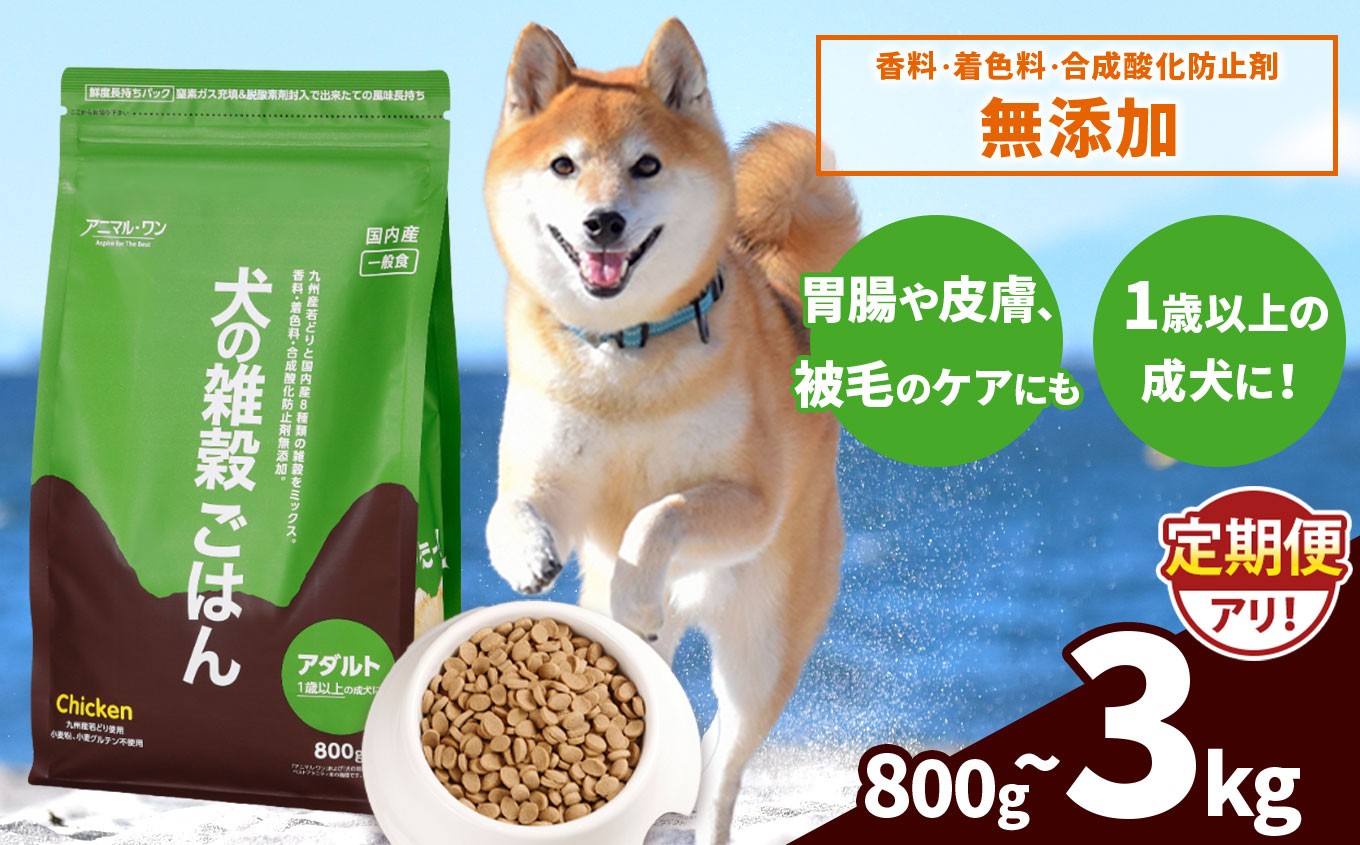 
                  【選べる 容量・回数】 800g 1.6kg 3kg 発送回数  1回 3回 6回 12回 アニマル・ワン 雑穀ごはん | 愛犬 犬 ドッグフード 雑穀 国産 無添加 プレミアム 熊本県 玉名市
                