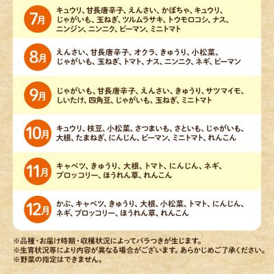 ふるさと納税 宗像市 【毎月お届け】むなかた旬のお任せセット(野菜)7〜9品【JAほたるの里】_HB0173 |  | 03