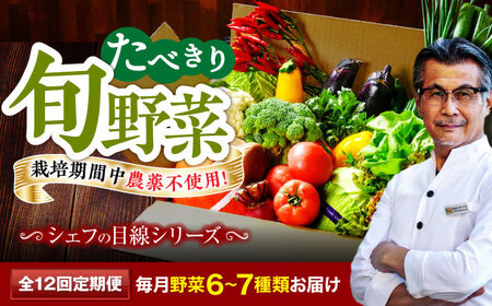 【全12回定期便】 【シェフの目線】　野菜 （6-7種）　少量食べきりセット　 野菜 やさい 少量セット 食べきり[AGBX046]