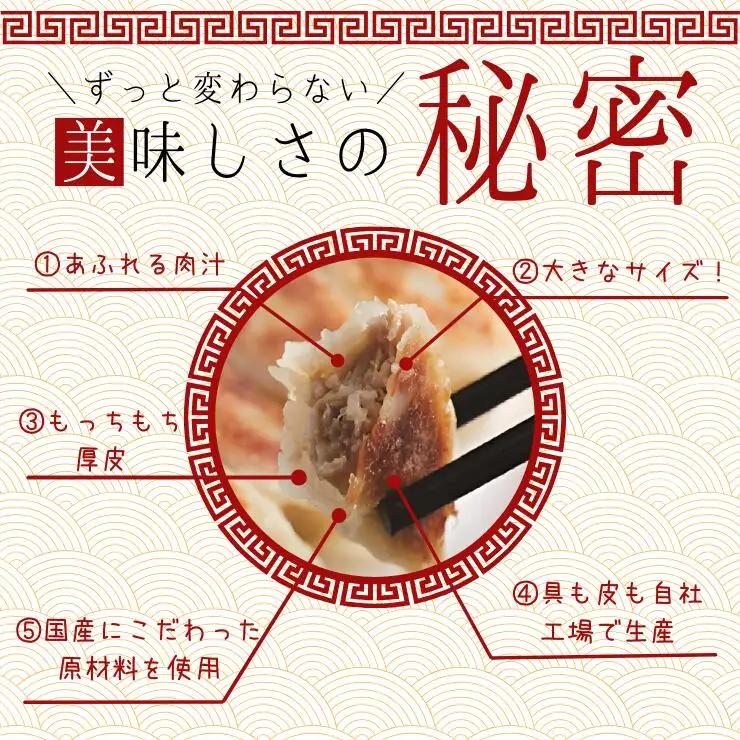 訳あり 食べ比べ餃子セット（冷凍　肉・野菜餃子）：8パック 中華