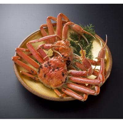 【11月6日漁解禁】福井冬の味覚!越前がに　 1,300-1,400g × 2杯【配送不可地域：離島・北海道・沖縄・東北・関東・中国・四国・九州】【1354953】