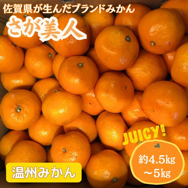 【ふるさと納税】佐賀みかん さが美人：B175-009