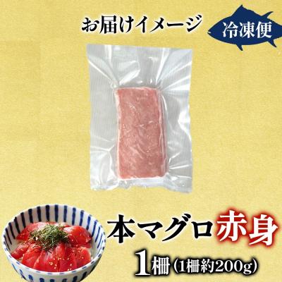 ふるさと納税 深浦町 青森県深浦産天然本マグロ(赤身1柵)【No.5296-0209】 |  | 03
