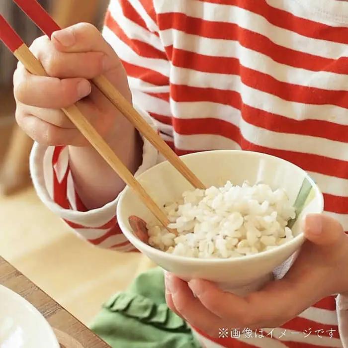【波佐見焼】こども用食器 3点セット(虫) 【studio wani】[MB47]