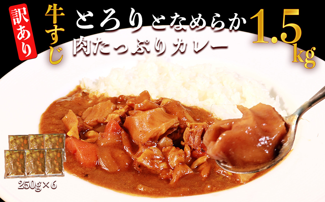 
            【訳あり】具だくさん やわらか牛すじカレー250g×6パック 計：約1.5kg 牛 牛すじ カレー レンジ 湯煎 【お届け時期：入金確認後３ヶ月前後で順次発送】
          