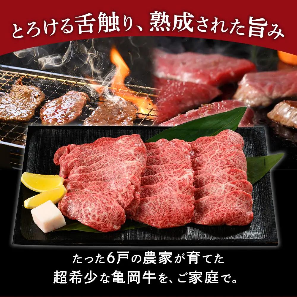 亀岡牛 もも 焼肉用 500g 焼肉