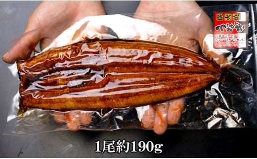 鰻サイズ 1尾 約190ｇ