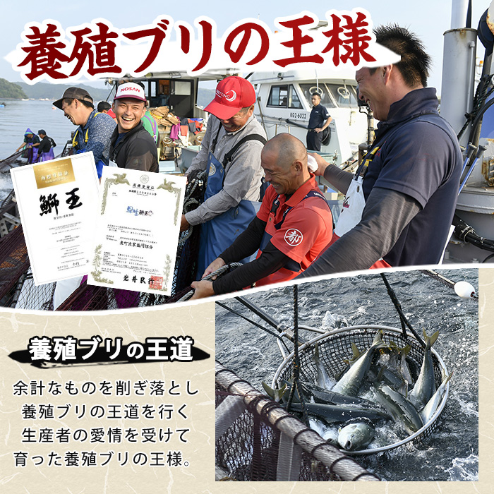 【お試し品】 ぶりの王様「 鰤王 」 スキンレスポーション 4P入り 冷蔵 でお届け ぶり ブリ 鰤 ぶりしゃぶ たたき 産地直送 新鮮 旨味が抜群の 長島町 特産品【JFA】jfa-1600