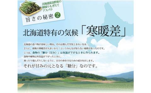 【2025年5月下旬～発送】北海道ふらの産☆生で食べれるアスパラ【2kg】S-Lサイズ混合 (スイートベジタブルファクトリー) 野菜 新鮮 直送 朝採り アスパラガス 道産 北海道 ふらの