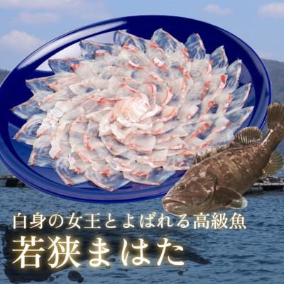 ふるさと納税 小浜市 若狭マハタ刺身2人前 |  | 01