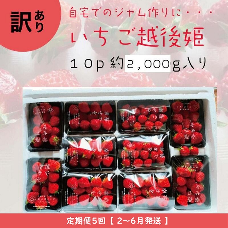 定期便 5回【2025年2～6月発送】訳あり越後姫 約200g×10定期配送 越後姫 えちごひめ 苺 いちご 訳あり 新潟