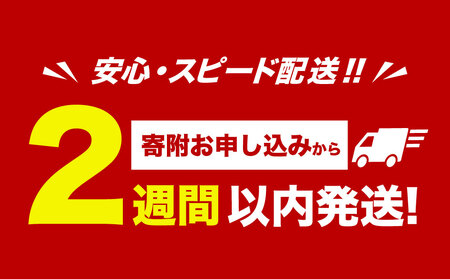 【訳あり】北海道産 ほたて 貝柱 刺身用 900g（サイズ不揃い） 帆立 小樽市 北海道 お取り寄せ