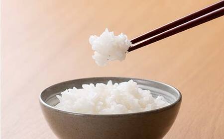 【テーブルマーク】山形県産 つや姫 パックごはん 32食(4食入×8パック) F2Y-6189