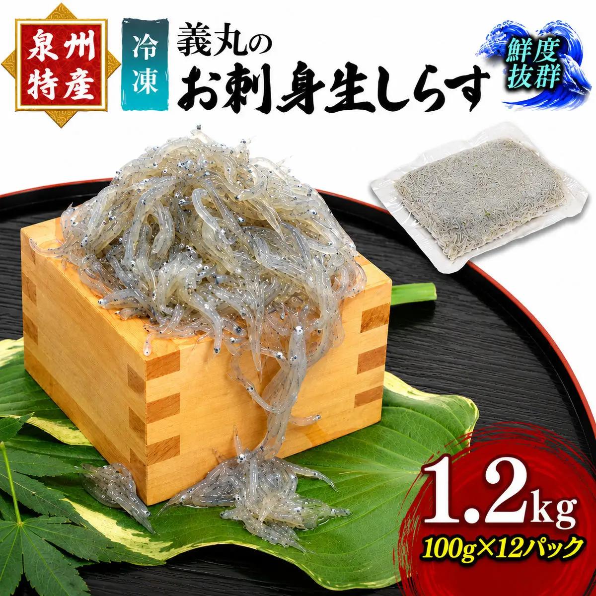 しらす 1.2kg 100g×12パック 義丸 お刺身生しらす