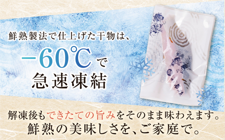Y61-79 博多バラエティ― 干物詰合せ 15切 干物