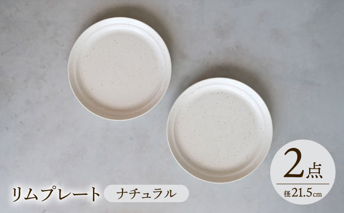 【波佐見焼】 リムプレート ナチュラル 2点セット 【西海陶器】 [OA396]