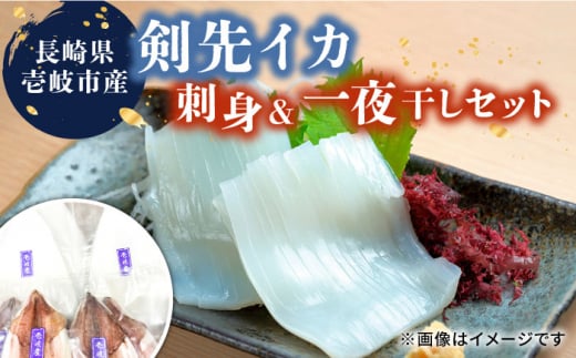剣先イカ 刺身&一夜干しセット《壱岐市》【一支國屋】[JCC009] 海鮮 烏賊 イカ いか 刺身 刺し身 お刺身 ケンサキイカ 干物 ひもの 魚介 海産物 海鮮 おつまみ 20000 20000円