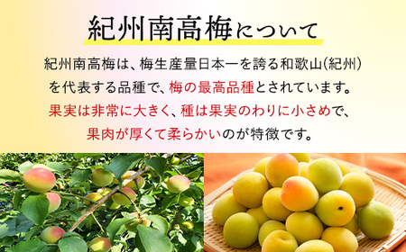 紀州南高梅　白干梅干し　500g　ご家庭用 | 国産 梅干し