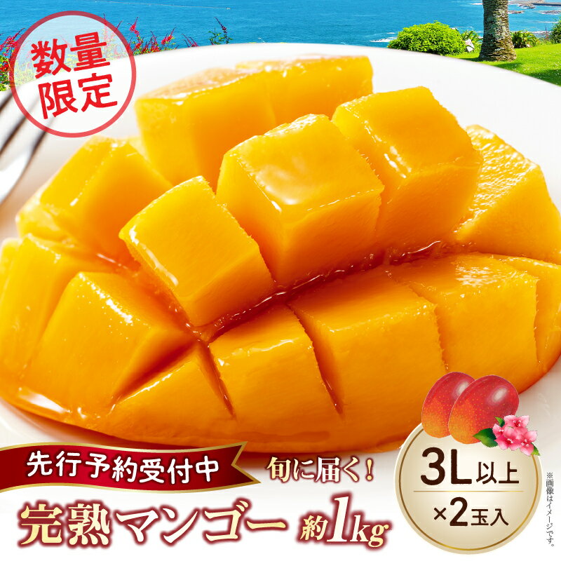 【ふるさと納税】【2026年発送】完熟 マンゴー 3L×2玉 約1kg 数量限定 厳選 大玉 化粧箱入り 2026年 先行予約 先行受付 マンゴー 完熟マンゴー 果物 くだもの フルーツ デザート 完熟 濃厚 人気 国産 ギフト プレゼント 贈り物 贈答 お祝い ご褒美 宮崎県 小林市 送料無料