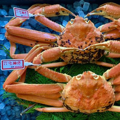 ふるさと納税 若桜町 【蒸し】タグ付き松葉ガニ　中2枚(500〜640g前後/枚)