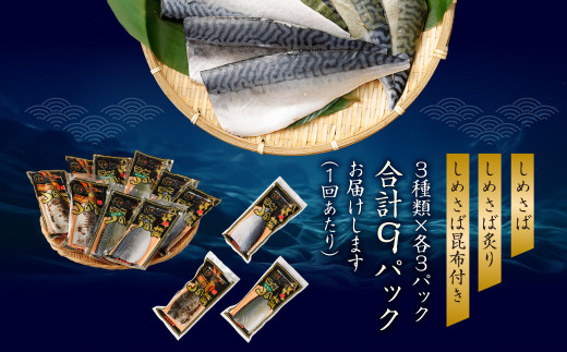 【全3回定期便】旬の美味しさを感じる！しめさば3種詰め合わせ ／ サバ さば 鯖 しめ鯖 シメサバ 魚介類 海産物 冷凍 国産 音丸水産 長崎県 長崎市