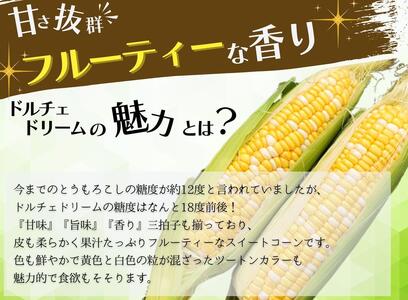 ドルチェドリーム 6本入り【2025年6月上旬から発送】REGALO[5530-0396]