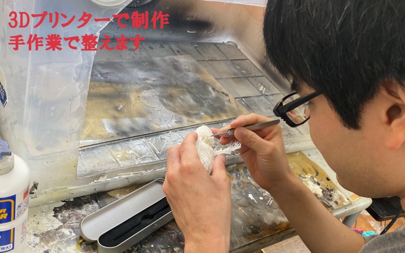 [8cm] タヌキ 縮小頭骨レプリカ/レプリカ 標本 コレクション 動物標本 頭骨レプリカ タヌキ 3Dプリント 【anf001】