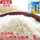 【ふるさと納税】【定期便 12か月】【新米】令和6年産 古河市産にじのきらめき 5kg｜米 コメ こめ ごはん ご飯 ゴハン 白飯 単一米 国産 にじのきらめき にじきら 5kg 茨城県 古河市 定期便 12ヶ月 12回 1年 茨城県 古河市_DP42