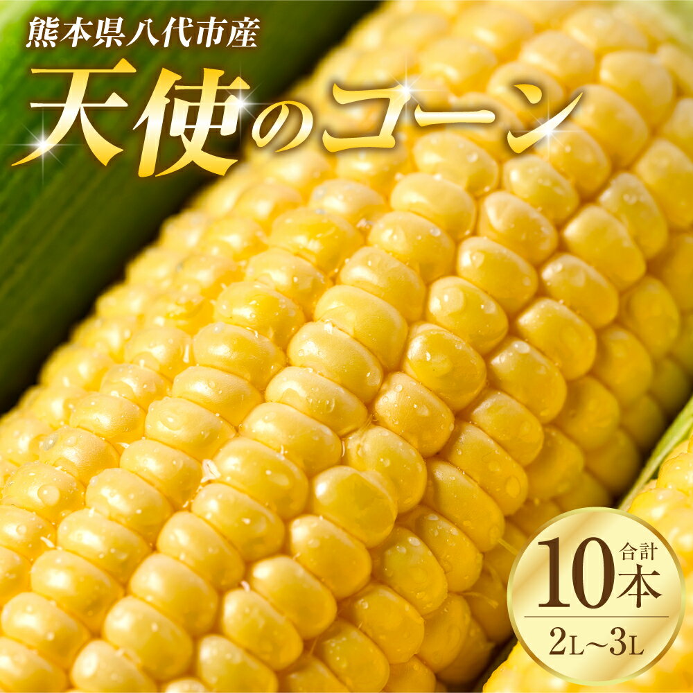 【ふるさと納税】 【先行予約】 熊本県八代市産「天使のコーン」2L～3Lサイズ 合計10本入り スイートコーン とうもろこし コーン料理 とうもろこし料理 送料無料 【2026年5月中旬より順次発送】