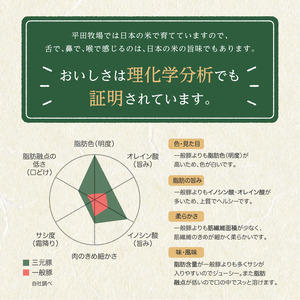 SC0511　【平田牧場】日本の米育ち 三元豚 焼肉タレ漬け＆生姜焼き2種セット　計12パック(各140g×6パック)