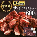 【ふるさと納税】牛肉 赤身 宮崎牛 サイコロカット ステーキ 300g ×2 計 600g [レグセントジョイラー 宮崎県 美郷町 31bb0024] 小分け 冷凍 牛 肉 焼肉 BBQ バーベキュー ステーキ A5