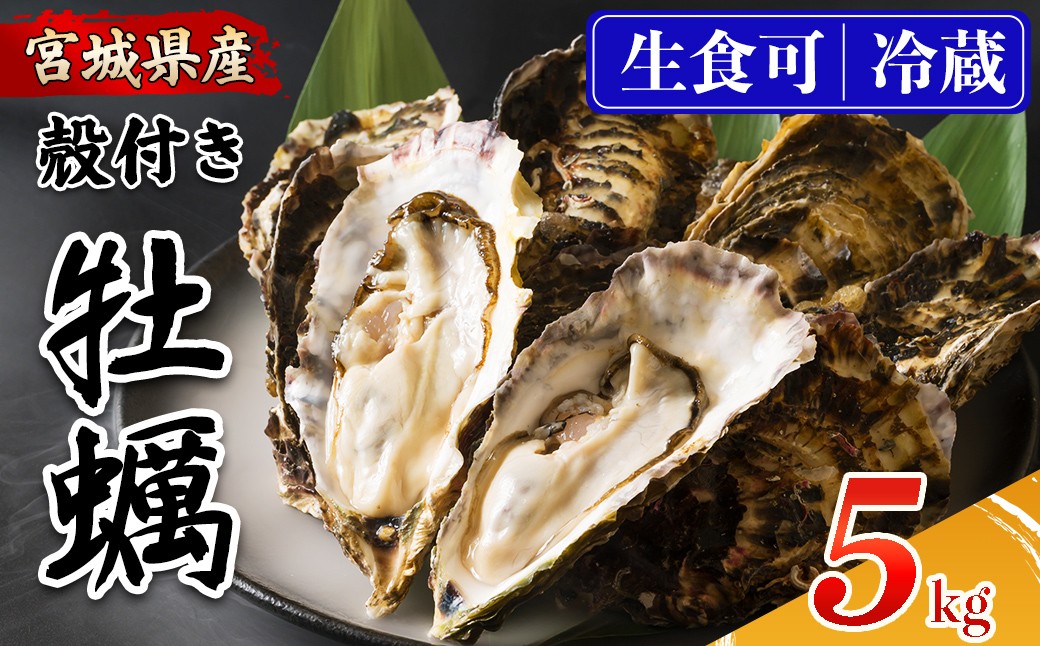 
                  殻付き牡蠣（生食用）冷蔵 5kg 生牡蠣 宮城県産 牡蛎 牡蠣 カキ かき 生食 オイスター カキフライ 牡蠣鍋 海鮮 国産 魚貝類 バーベキュー BBQ 【カタクチ商店株式会社】ta733
                