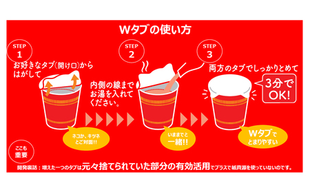 【定期便12か月】日清ヌードル3種セット 各1箱（20食）合計3箱 【麺類・ラーメン】