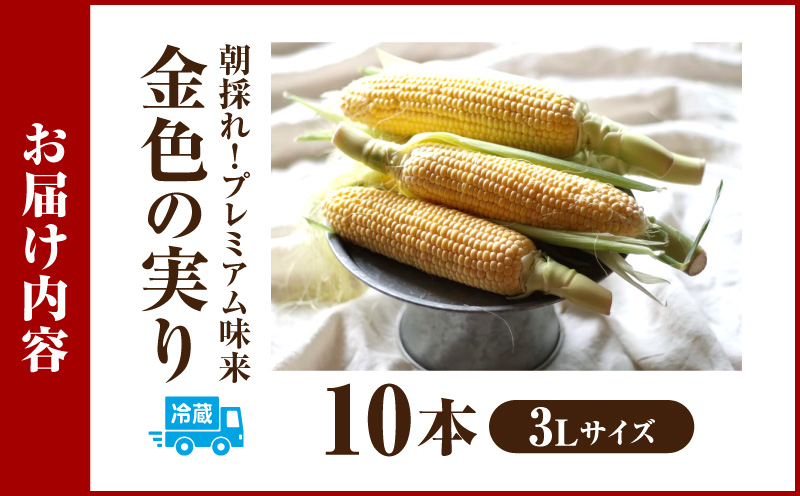 【12月限定価格】朝採れ！プレミアム味来～金色の実り～10本・S065_c2