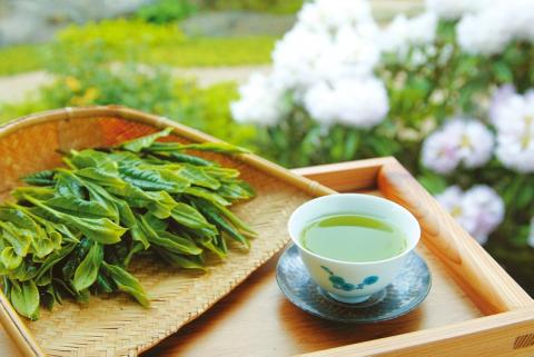 【2025年新茶予約】室園銘茶の一番人気【煎茶・翠】3袋入り