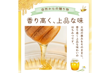 京都 生はちみつ「京丹後 山頂のはちみつ」 500g(100g×5) 【国産　非加熱】　ハチミツ　蜂蜜 ハニー