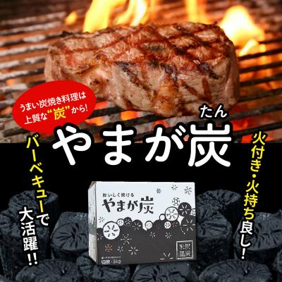 ふるさと納税 米沢市 やまが炭1.2kg 米沢産 なら炭1.2kg/箱×1箱 |  | 01