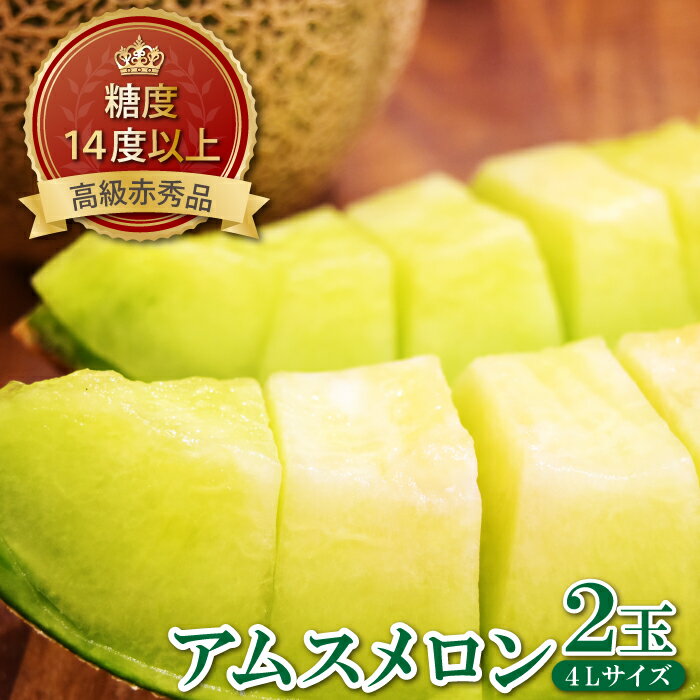 【ふるさと納税】 糖度14度以上 アムスメロン 高級 赤秀品 2玉 先行予約 メロン 早期予約 季節限定 期間限定 果物 フルーツ くだもの アムス お土産 プレゼント 贈り物 ギフト 贈答