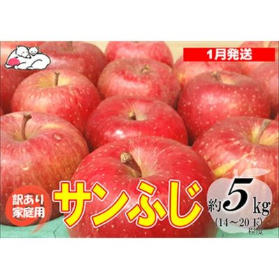 【ふるさと納税】【1月発送】白熊 訳あり家庭用 サンふじ 約5kg 糖度13度【弘前市産 青森りんご 果物 フルーツ 食後 デザート シャキシャキ ジューシー りんごの王様 】　お届け：2026年1月6日～2026年1月31日