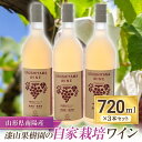 【ふるさと納税】漆山果樹園の自家栽培ワイン 3本セット 1168