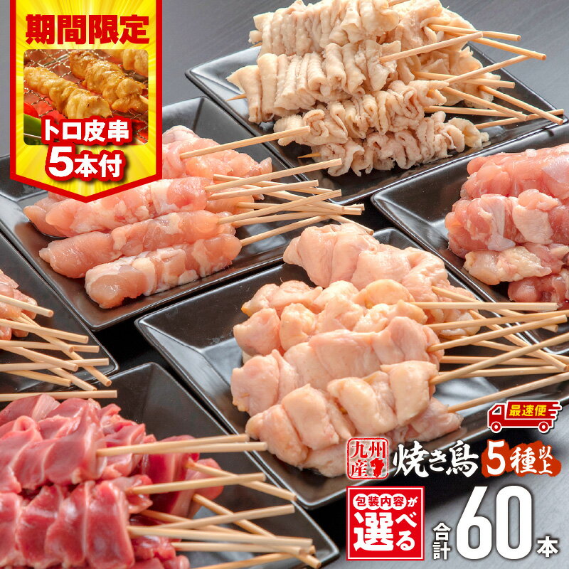 【ふるさと納税】【包装内容・発送時期が選べる】九州産若鶏の焼き鳥セット（60本）盛り合わせ・トロ皮串5本 鶏肉 肉 お肉 若鶏 焼き鳥 串焼き 焼き鳥串 食べ比べ 味比べ 詰め合わせ 焼き鳥セット 小分け パック 冷凍 BBQ おつまみ つまみ 便利《レビューキャンペーン》