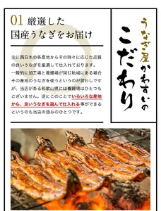 ＜うなぎ屋かわすい＞鹿児島県産 国産 うなぎ 蒲焼 タレ 鰻 うな重 かばやき 計300g 以上 150～169g×2本【川口水産】A854