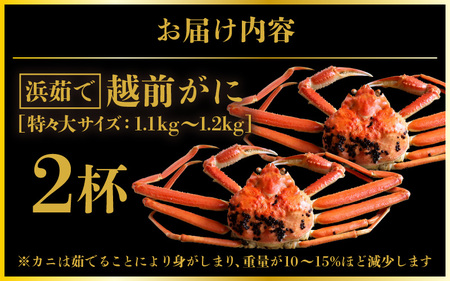 越前がに本場の越前町からお届け！越前がに浜茹で特々大サイズ（生で約1.1～1.2kg）×2杯【11月発送】 [e57-x008_11] 越前町 雄 ズワイガニ ボイル 冷蔵 越前がに 越前ガニ 越前か