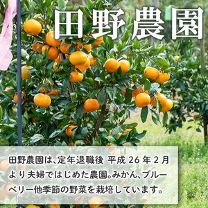 s524 ≪毎月数量限定≫田野農園加工品4種セット(ブルーベリーソース・十万みかん加工品(シロップ漬け・ソース・ジャム)各1個・計4個)【田野農園】