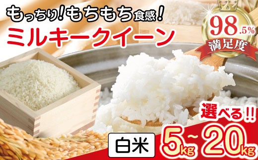 
                  令和7年産 ミルキークイーン 白米 5kg / 10kg / 20kg 近江米 【VSKU3】 米 5kg 10kg 20kg 白米 みるきーくいーん ミルキークィーン 国産 農家直送 環境こだわり お米 こめ おこめ 先行予約 農家直送 産地直送 滋賀県 近江八幡市
                