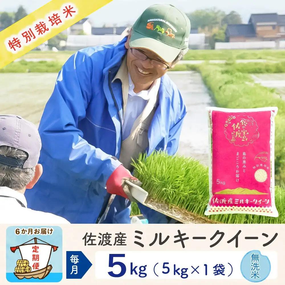 【定期便 新米 5kg 6回】 無洗米 令和8年 計 30キロ | 新潟県 佐渡市 ミルキークイーン 195962-4323