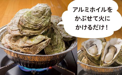 【先行予約】≪R8年1月15日より発送開始！≫ びはんの自宅でかき小屋セット 10個入り 三陸山田 三陸産 山田産かき 山田湾 海産品 かき鍋 蒸しかき 牡蠣 カキ 三陸山田牡蠣 【沖縄・離島配送不可