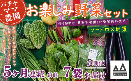 野菜 7袋 訳あり 5ヶ月 定期便 詰め合わせ お任せ 旬 野菜